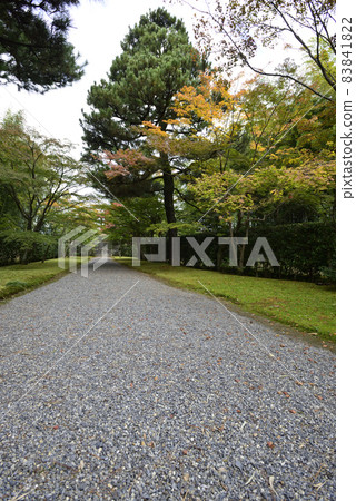 通往Katsura Rikyu大門的道路 通往Katsura Rikyu大門的道路 83841822