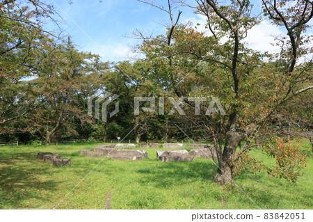 十十田公園 83842051