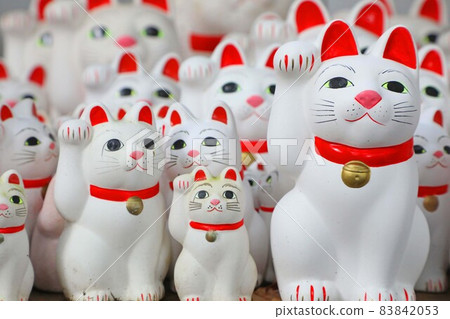 The lucky cat of Futatsukuji 83842053
