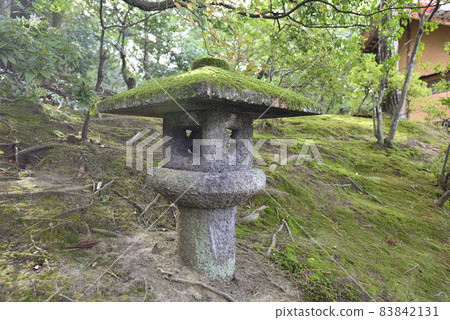 Katsura Rikkai Water Lilies Stone Lamp Bag 83842131
