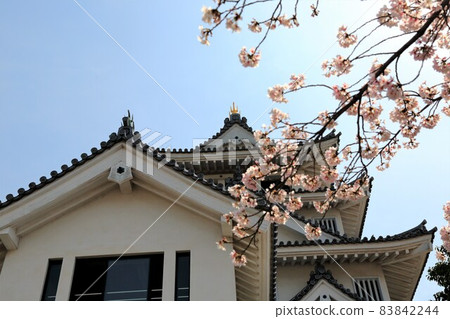 Spring Sunomat Ichiya Castle Walk ・ 19(岐阜縣大垣市Sunomata) Spring Sunomat Ichiya Castle Walk ・ 19(岐阜縣大垣市Sunomata) 83842244