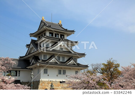 Spring Sunomat過夜城堡步行21（岐阜縣大垣市Sunomata） 83842246