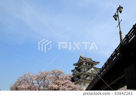 Spring Sunomata Ichiya Castle Walk 35 (Sunomata, Ogaki City, Gifu Prefecture) 83842261