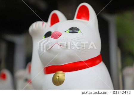 Futatsukuji的幸運貓 83842473