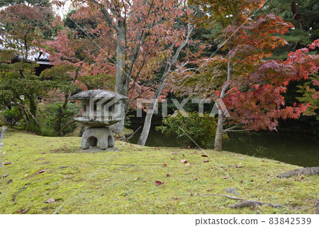 Katsura Rikyu Yukimi燈籠 83842539