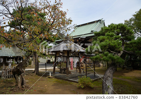 Tekona Reijindo Tekona Reijindo 83842760