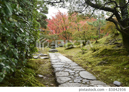 前凳外的Katsura Rikyu“拉伸線” 83842936