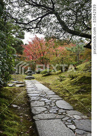 前凳外的Katsura Rikyu“拉伸線” 前凳外的Katsura Rikyu“拉伸線” 83842939