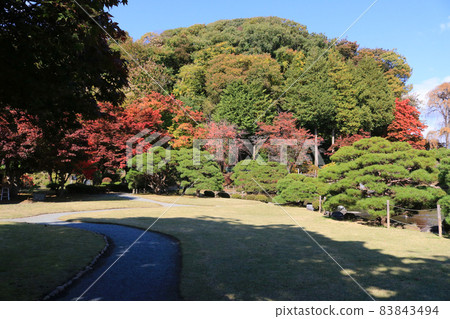 Former Nanbu villa garden in autumn Former Nanbu villa garden in autumn 83843494