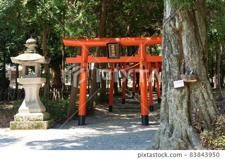 [Okayama Prefecture] Kibitsuhiko Shrine 83843950