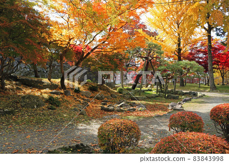 Autumn Morioka Castle Ruins Park, Ninomaru 83843998