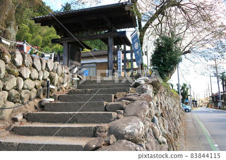 Usui Sekisho Trace 83844115