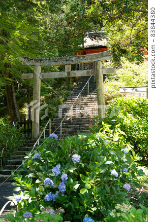 [Okayama Prefecture] Kibitsuhiko Shrine 83844380