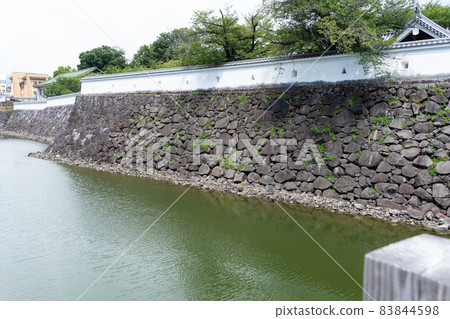 [Yamanashi Prefecture] Maizurujo Park 83844598