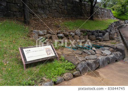 [Yamanashi Prefecture] Maizurujo Park 83844745