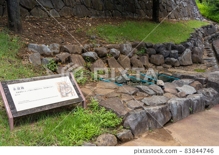 [Yamanashi Prefecture] Maizurujo Park 83844746