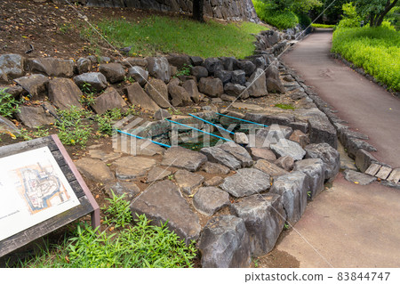 [Yamanashi Prefecture] Maizurujo Park 83844747