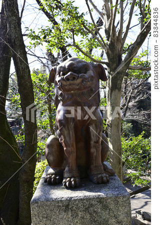 京都最古老的守護犬（伊部守護犬） 83844836