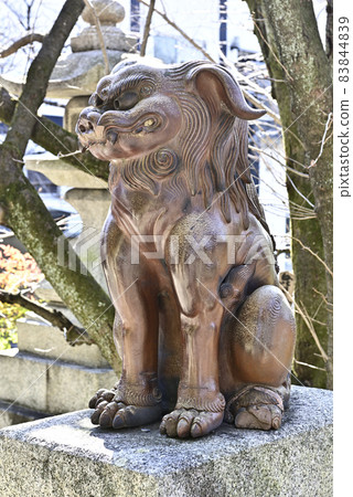 京都最古老的守護犬(伊部守護犬) 京都最古老的守護犬(伊部守護犬) 83844839