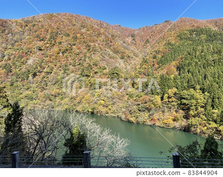 五ay山的秋天 83844904