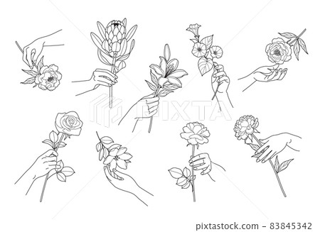 Vector Set of Outline Female Hands and Flowers 83845342
