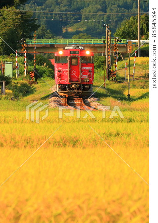 秋天穿過稻田的火車 秋天穿過稻田的火車 83845343