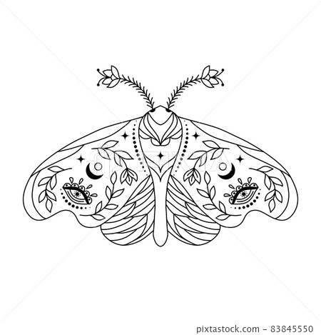 Moth in doodle style 83845550