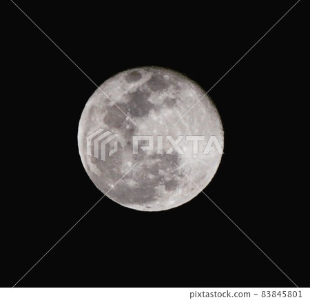 滿月照片 滿月照片 83845801