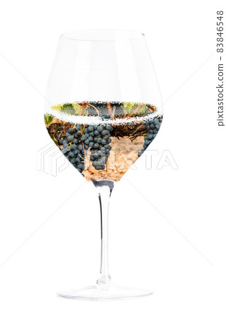 Wine concept. Vineyard in a glass collage, isolated on a white background Wine concept. Vineyard in a glass collage, isolated on a white background 83846548