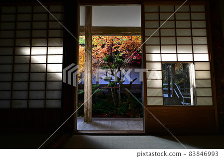 Autumn leaves of Enichiji Temple Autumn leaves of Enichiji Temple 83846993