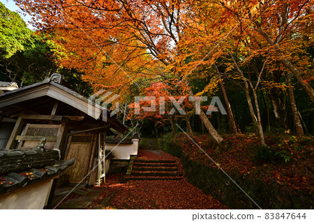 Autumn leaves of the solemn temple Autumn leaves of the solemn temple 83847644