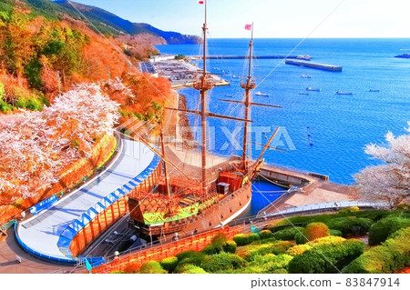 櫻花、大海和聖胡安布蒂斯塔 櫻花、大海和聖胡安布蒂斯塔 83847914