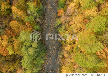 Colorful autumn view of the Caucasus mountains. Great view of the yellow trees. Tod down view. Colorful autumn view of the Caucasus mountains. Great view of the yellow trees. Tod down view. 83848731