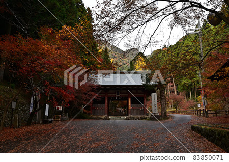 石黑寺的秋葉 石黑寺的秋葉 83850071