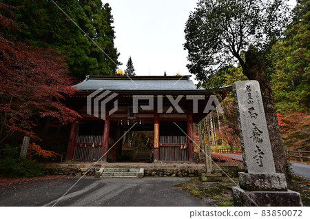 石黑寺的秋葉 83850072