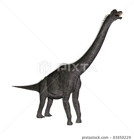 Brachiosaurus ☆ Brachiosaurus Brachiosaurus ☆ Brachiosaurus 83850229