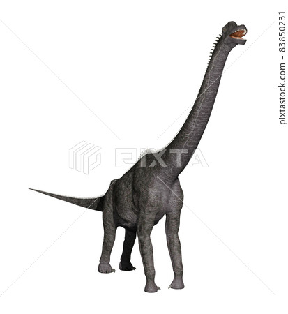 腕龍 ☆ 腕龍 腕龍 ☆ 腕龍 83850231