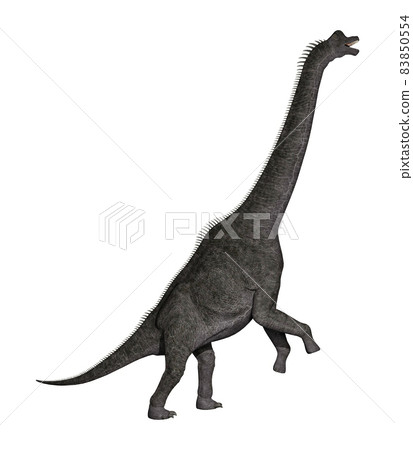 Brachiosaurus ☆ Brachiosaurus Brachiosaurus ☆ Brachiosaurus 83850554