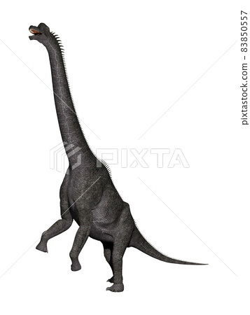 Brachiosaurus ☆ Brachiosaurus 83850557