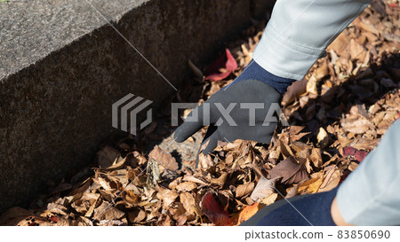 Image of a worker cleaning fallen leaves 83850690