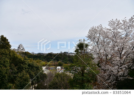 Himeji City, Hyogo Prefecture, Japan Spring Season Himeji Castle A magnificent castle tower and the surrounding cityscape Himeji City, Hyogo Prefecture, Japan Spring Season Himeji Castle A magnificent castle tower and the surrounding cityscape 83851064