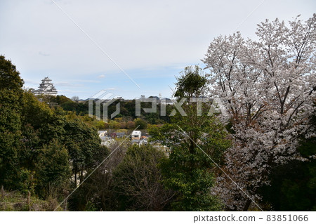 Himeji City, Hyogo Prefecture, Japan Spring Season Himeji Castle A magnificent castle tower and the surrounding cityscape Himeji City, Hyogo Prefecture, Japan Spring Season Himeji Castle A magnificent castle tower and the surrounding cityscape 83851066