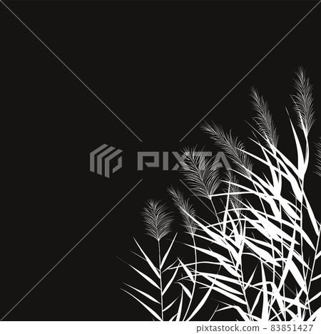 Black silhouette of reeds, sedge, cane, bulrush, or grass on a white background.Vector illustration. 83851427