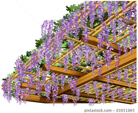 Botanical picture book Fujitana Botanical picture book Fujitana 83851865