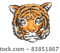 Hand-painted animal pictorial book Tiger head 83851867