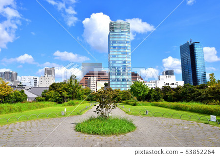 從市中心的公園看到的摩天大樓 從市中心的公園看到的摩天大樓 83852264