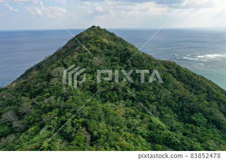Aerial view of Amami's Myokanzaki Observatory 83852478