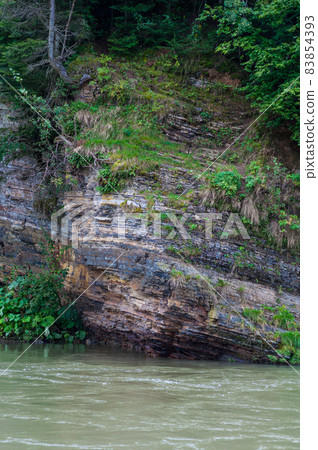 rocky bank mountain river overgrown moss bushes and trees, fast muddy stream water, nature outdoors rocky bank mountain river overgrown moss bushes and trees, fast muddy stream water, nature outdoors 83854393