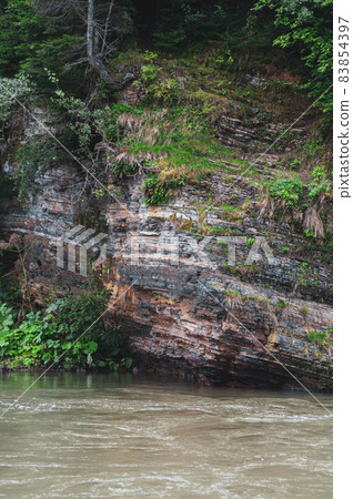 rocky bank mountain river overgrown moss bushes and trees, fast muddy stream water, nature outdoors rocky bank mountain river overgrown moss bushes and trees, fast muddy stream water, nature outdoors 83854397