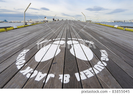 [城市景觀]橫濱港大山橋國際客輪碼頭 83855045